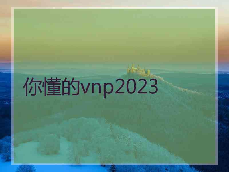 你懂的vnp2023