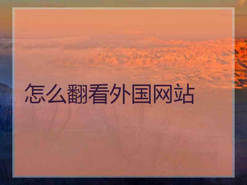 怎么翻看外国网站