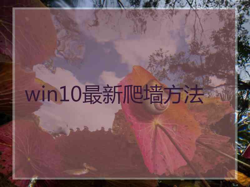 win10最新爬墙方法
