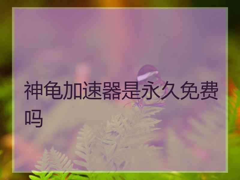 神龟加速器是永久免费吗