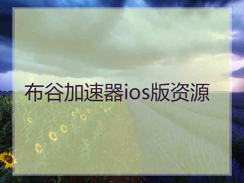 布谷加速器ios版资源