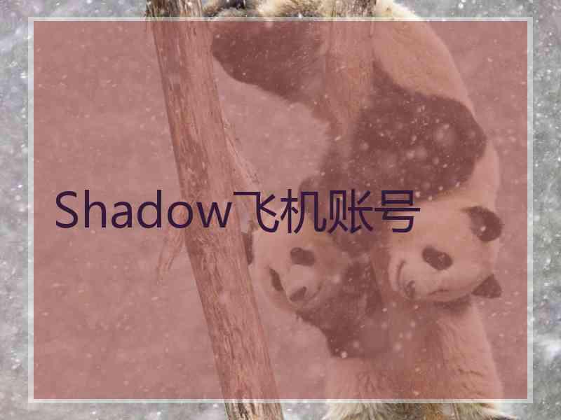 Shadow飞机账号