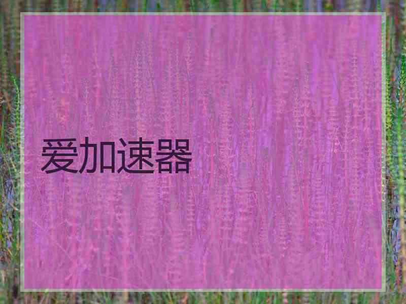 爱加速器