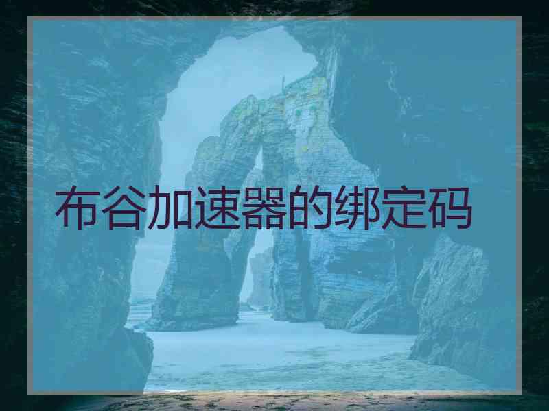布谷加速器的绑定码
