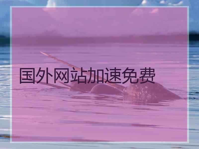 国外网站加速免费