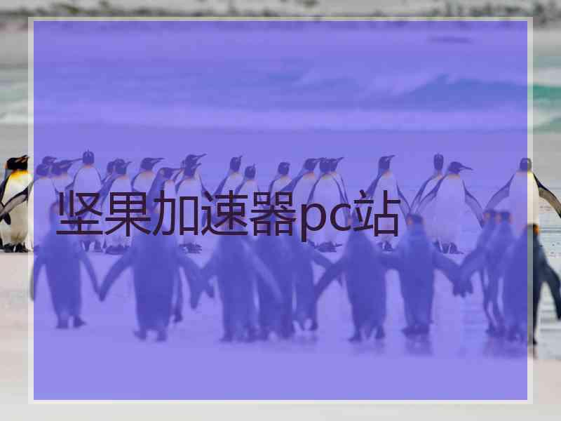 坚果加速器pc站