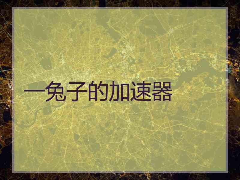 一兔子的加速器