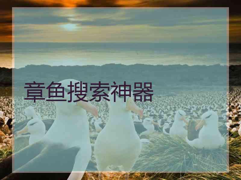 章鱼搜索神器