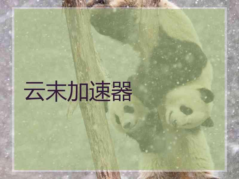 云末加速器