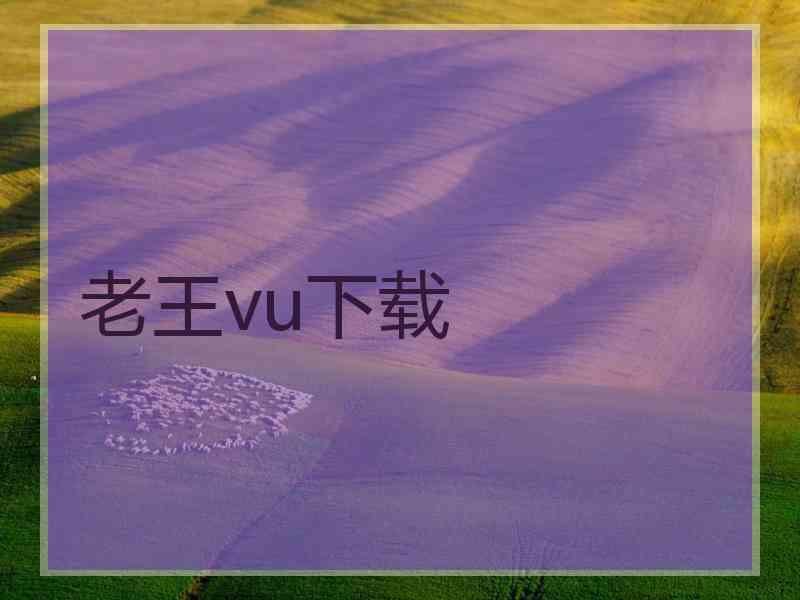 老王vu下载