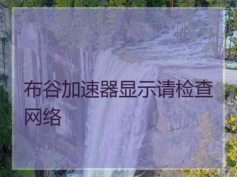布谷加速器显示请检查网络