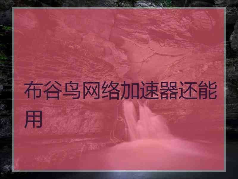 布谷鸟网络加速器还能用