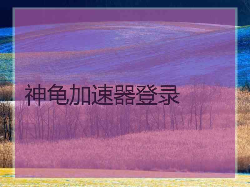 神龟加速器登录