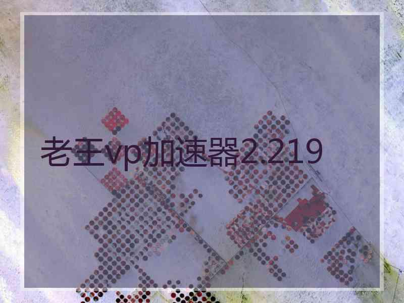 老王vp加速器2.219