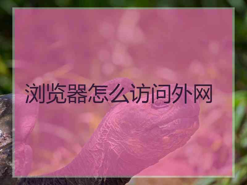 浏览器怎么访问外网