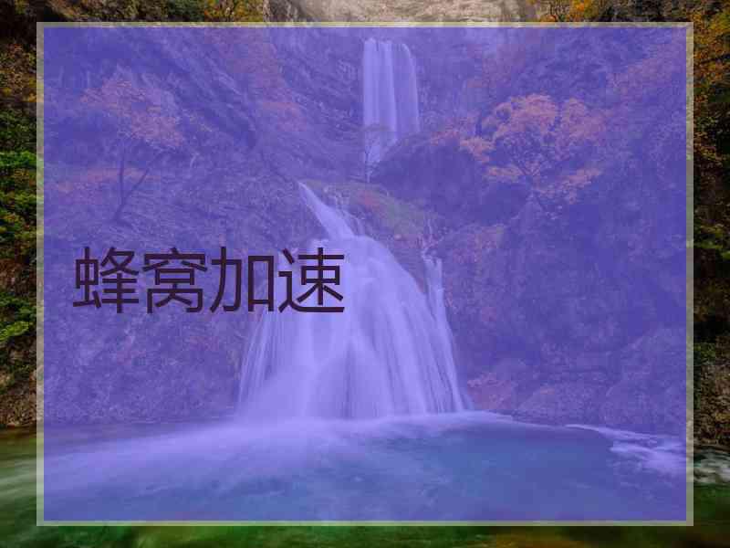 蜂窝加速