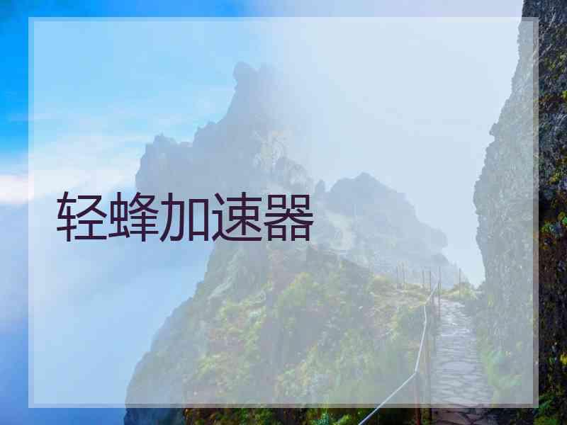 轻蜂加速器