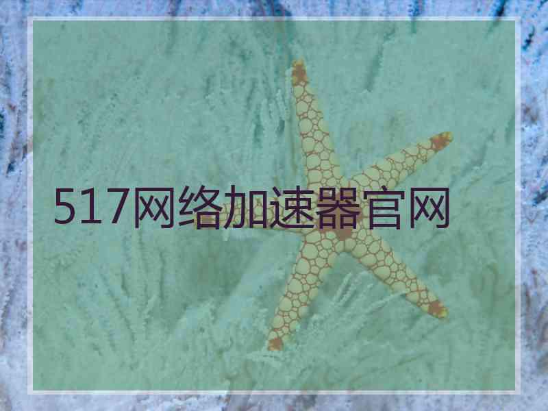 517网络加速器官网