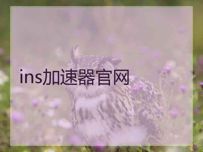 ins加速器官网