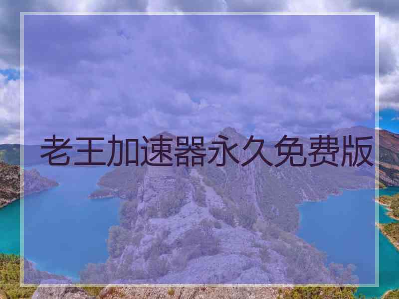 老王加速器永久免费版