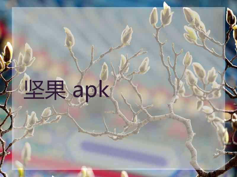 坚果 apk
