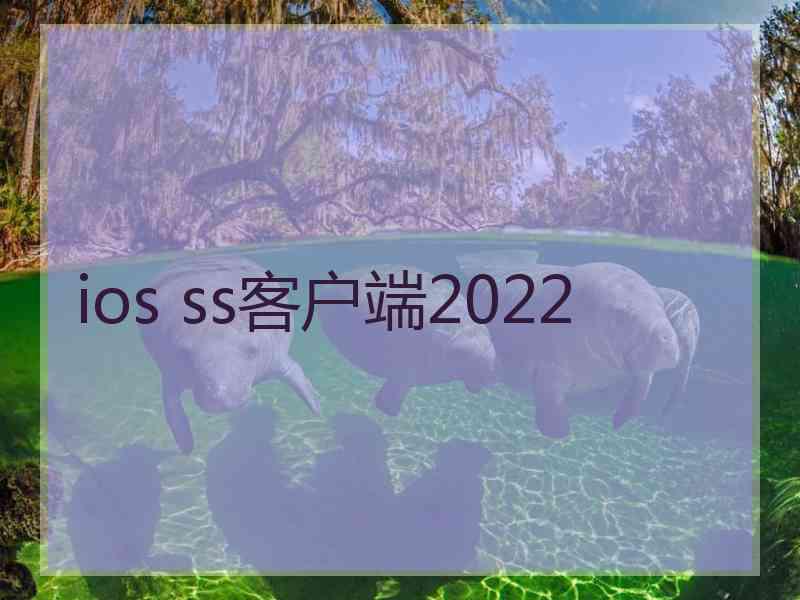 ios ss客户端2022