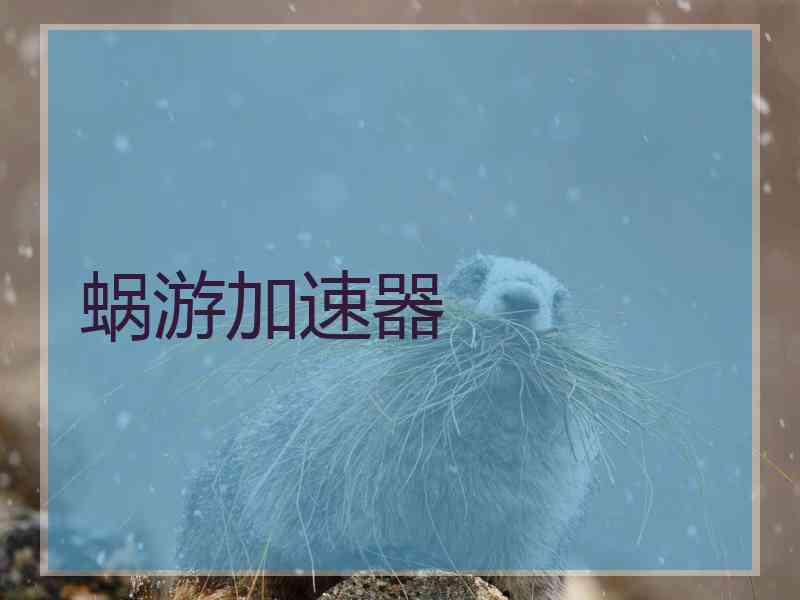 蜗游加速器