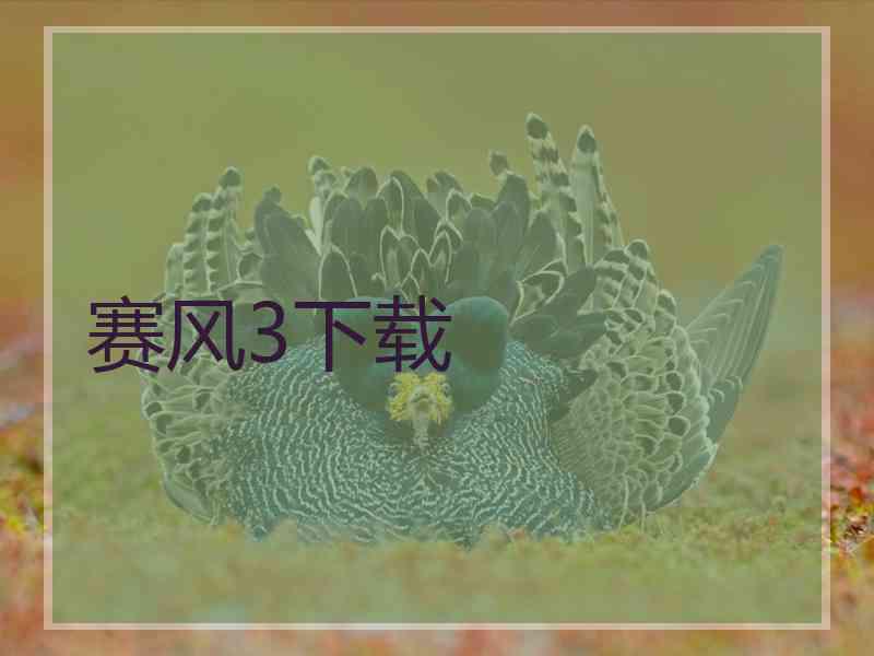 赛风3下载