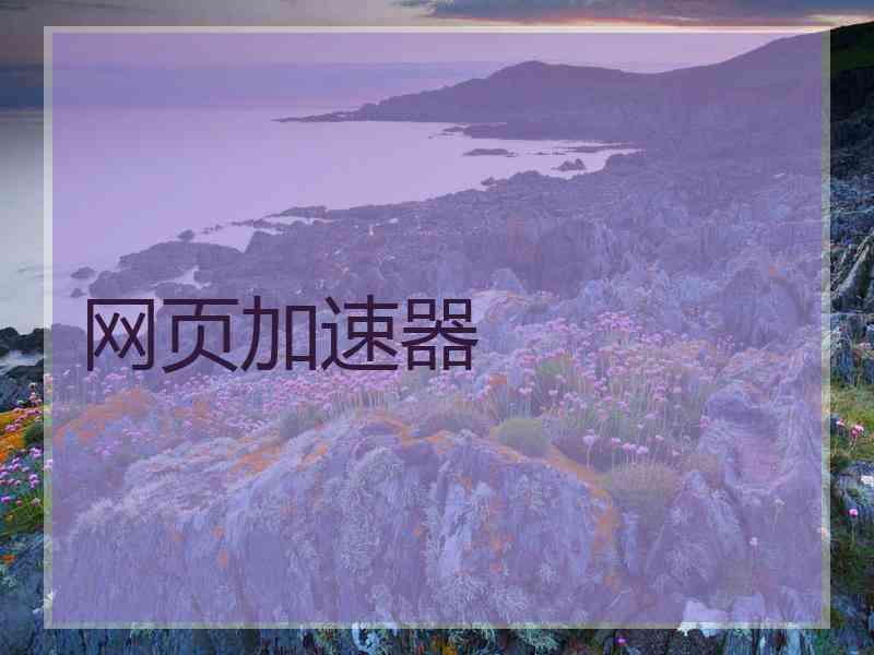 网页加速器