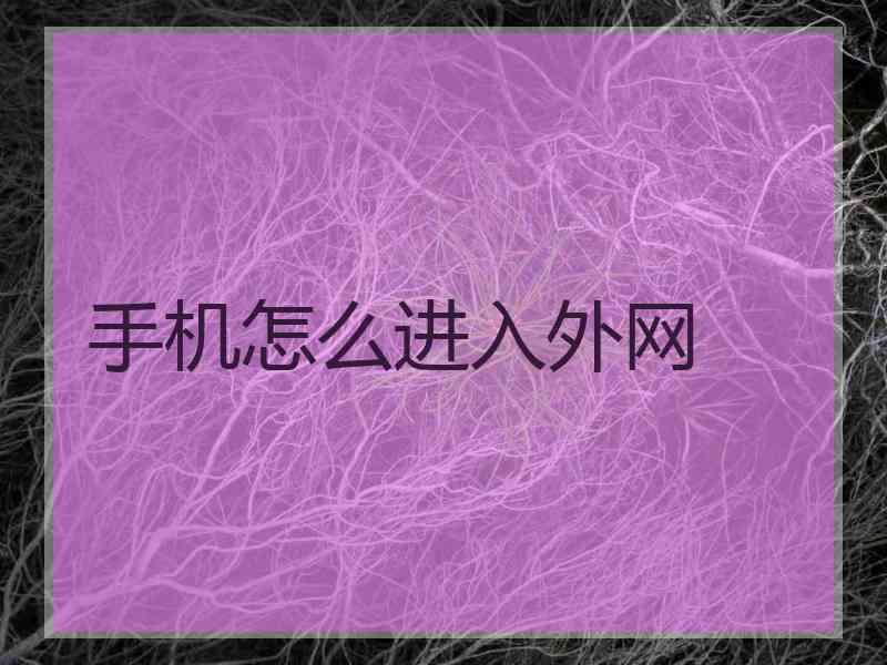 手机怎么进入外网