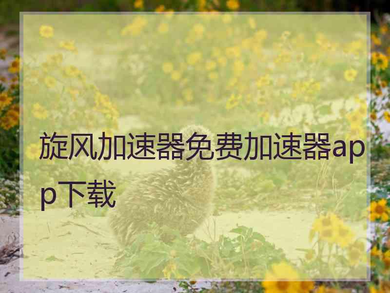 旋风加速器免费加速器app下载