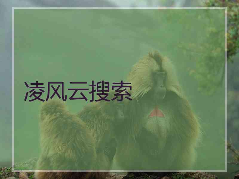 凌风云搜索