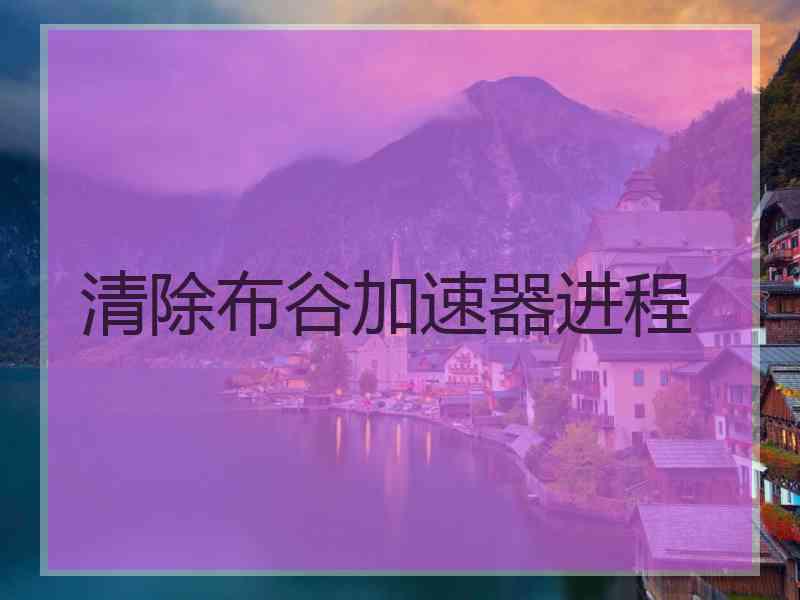 清除布谷加速器进程