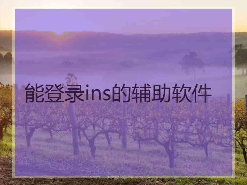 能登录ins的辅助软件