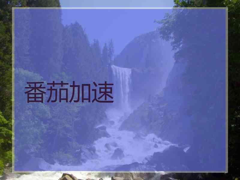 番茄加速