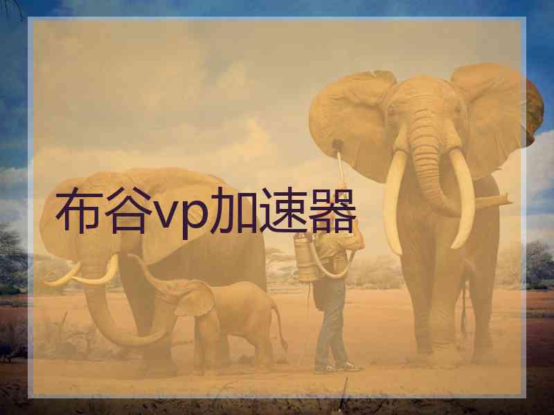 布谷vp加速器