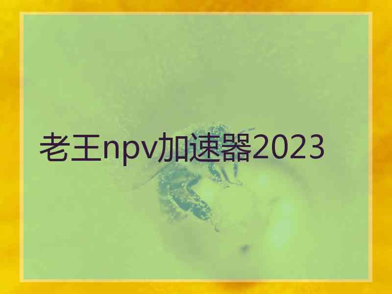 老王npv加速器2023