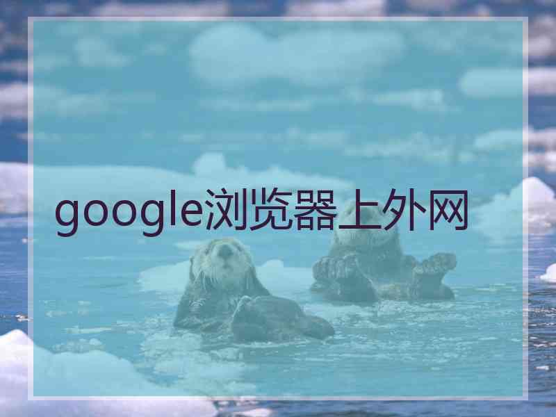 google浏览器上外网