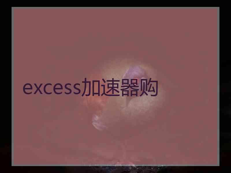 excess加速器购
