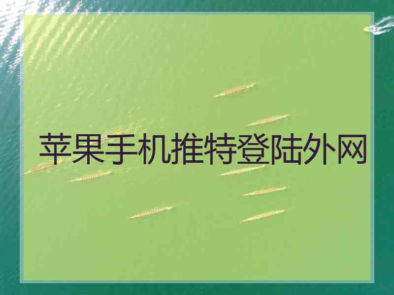 苹果手机推特登陆外网