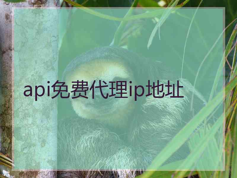 api免费代理ip地址
