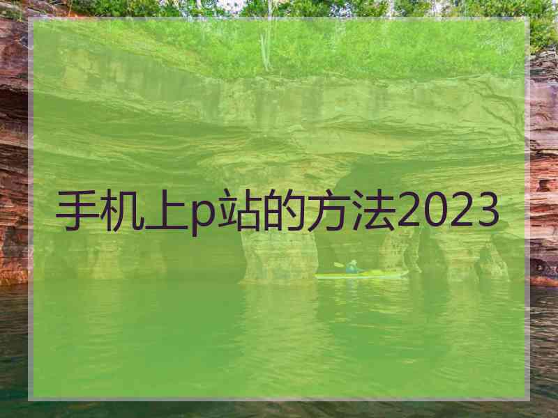 手机上p站的方法2023