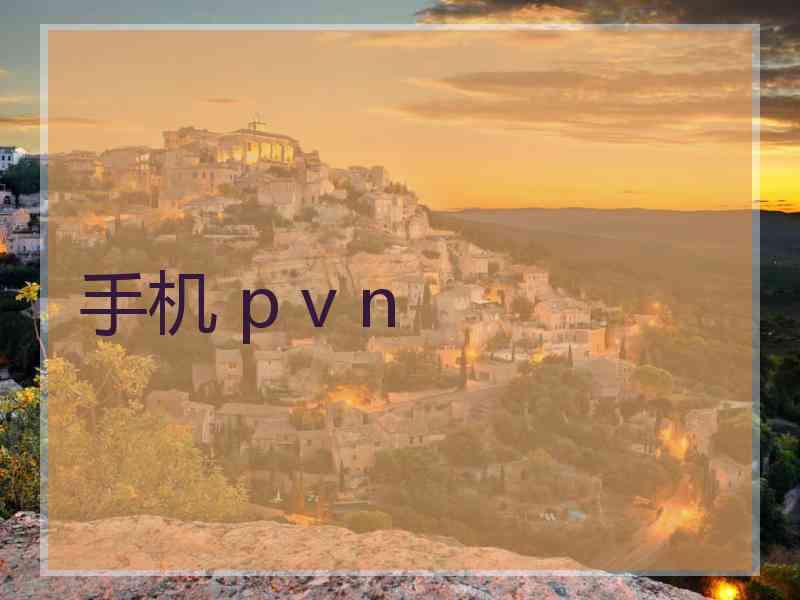 手机 p v n