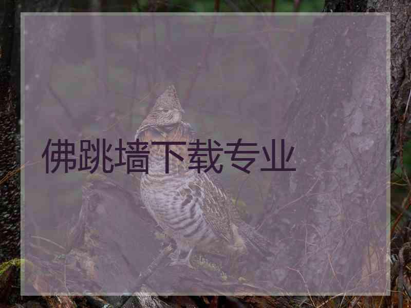 佛跳墙下载专业