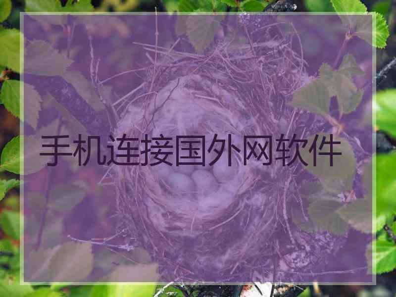 手机连接国外网软件
