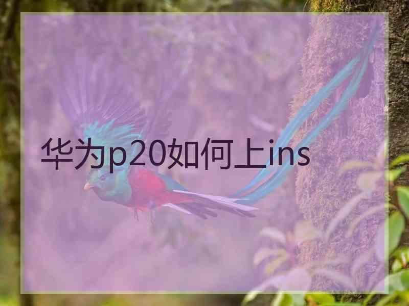 华为p20如何上ins