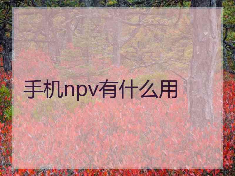 手机npv有什么用