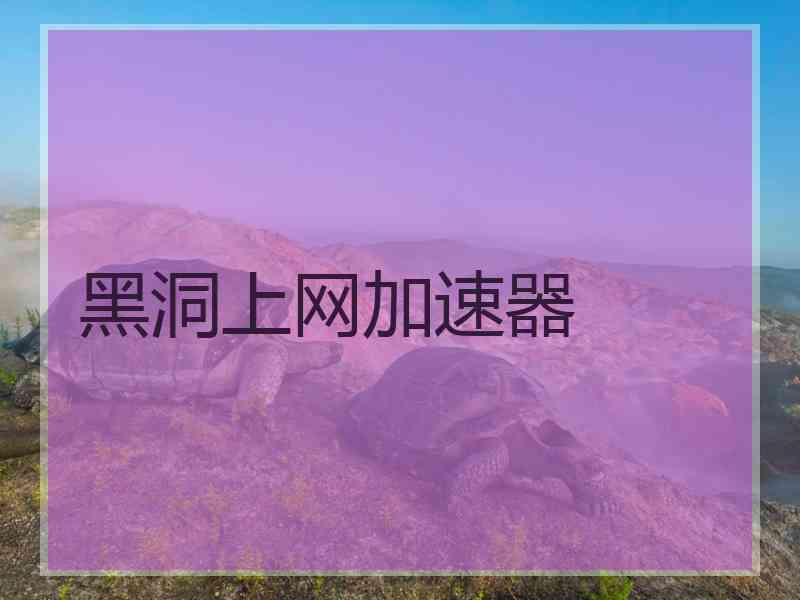 黑洞上网加速器