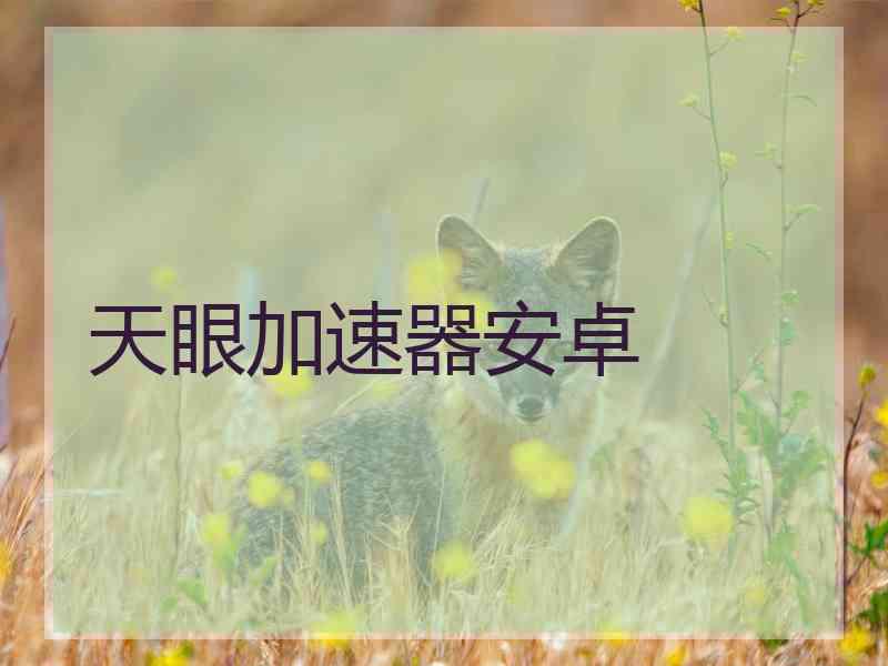 天眼加速器安卓
