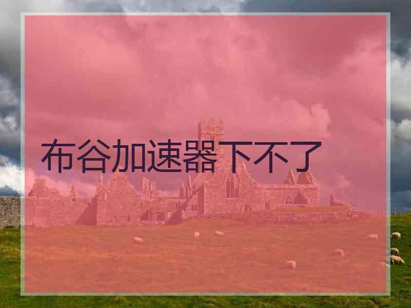 布谷加速器下不了